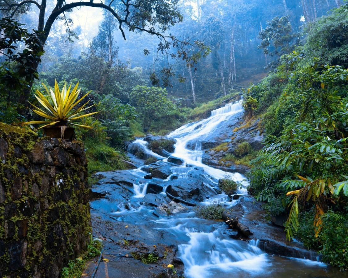 Falling Waters Munnar Eksteriør billede
